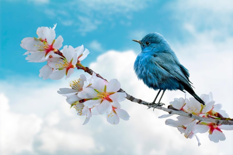Nature Conservation